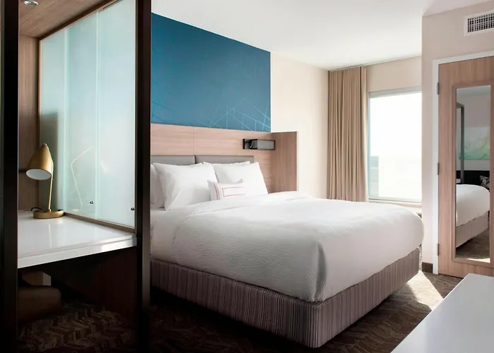 Springhill Suites By Marriott Tampa Suncoast Parkway