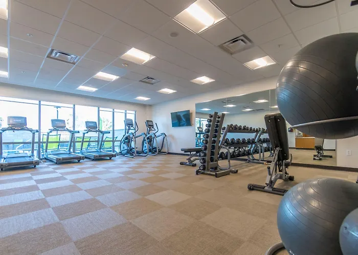 Springhill Suites By Marriott Tampa Suncoast Parkway