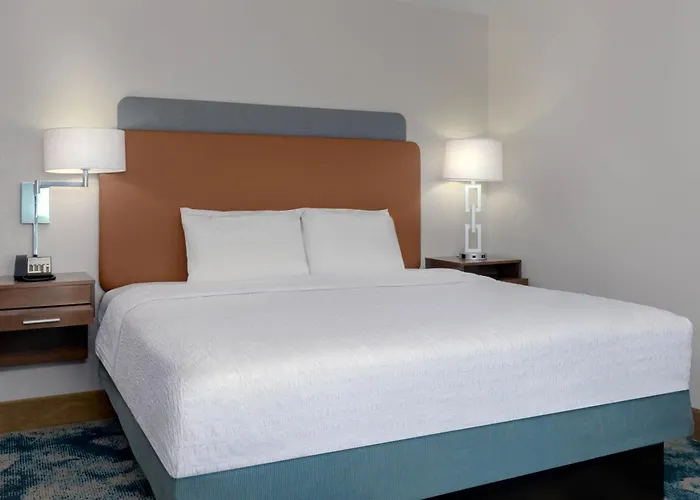Hampton Inn & Suites Tampa Airport Avion Park Westshore